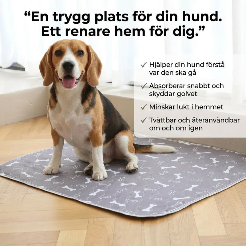 <p>Beställ din idag prova riskfritt i 60 dagar.</p>